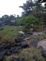 gal/Ile Maurice/_thb_SP_A0334_Tamarin_Hotel.jpg
